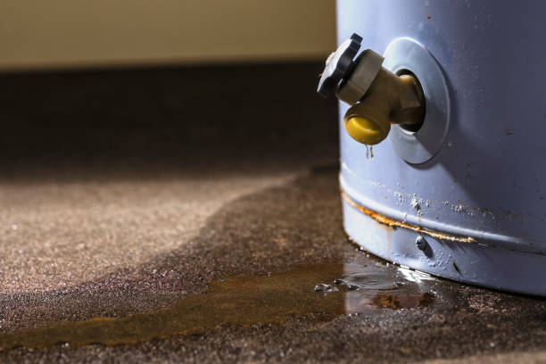 Best Carpet water damage restoration  in Pacific City, OR