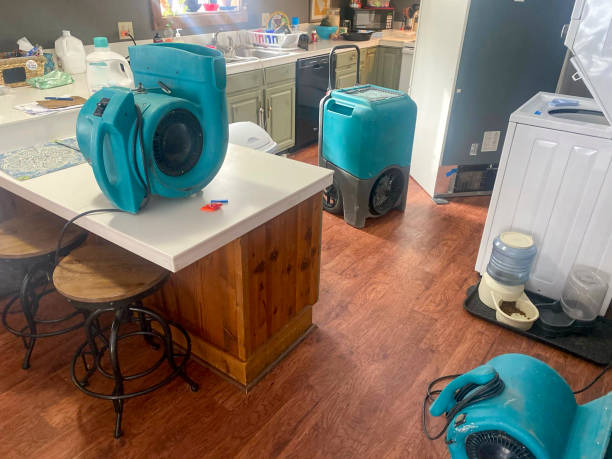 Best Water damage restoration near me  in Pacific City, OR