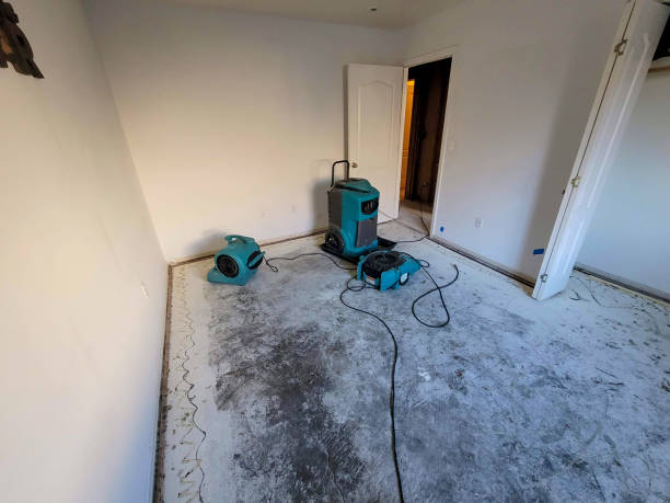 Best Basement water damage restoration  in Pacific City, OR