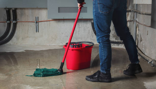 Best Water damage restoration near me  in Pacific City, OR