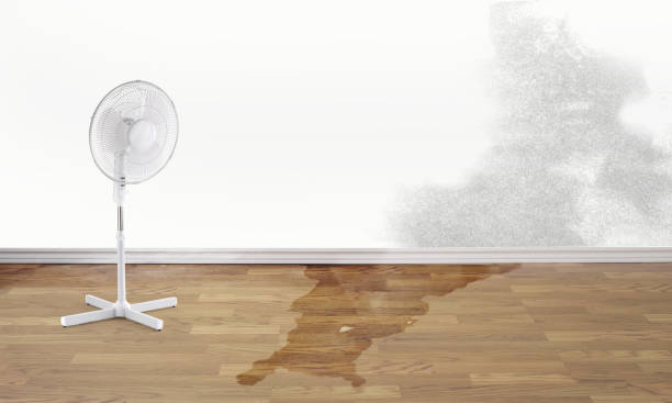 Best Fire Damage Restoration  in Pacific City, OR