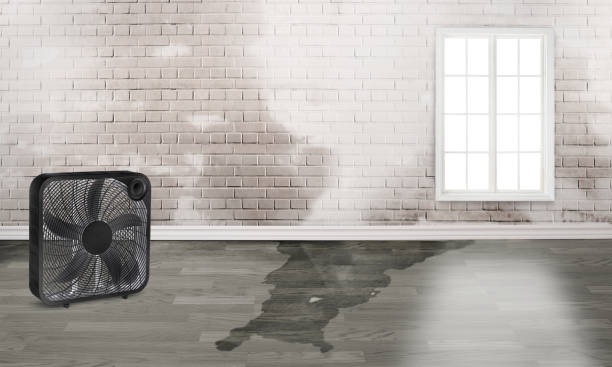 Best 24-hour water damage restoration  in Pacific City, OR