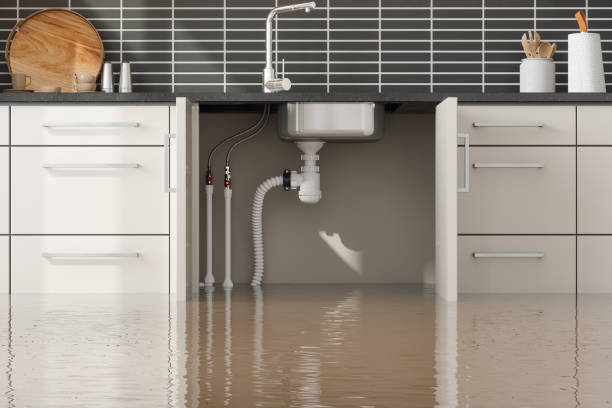 Best Water damage restoration specialists  in Pacific City, OR